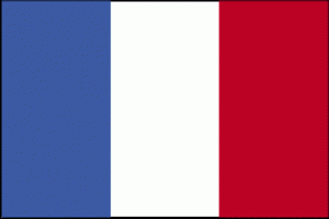 Flag of France 300x200
